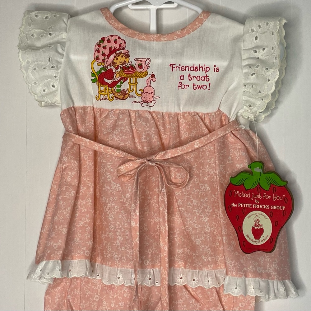Strawberry Shortcake And Custard Outfit 1980 AMERICAN GREETINGS CORP Union 6M - Picture 1 of 16